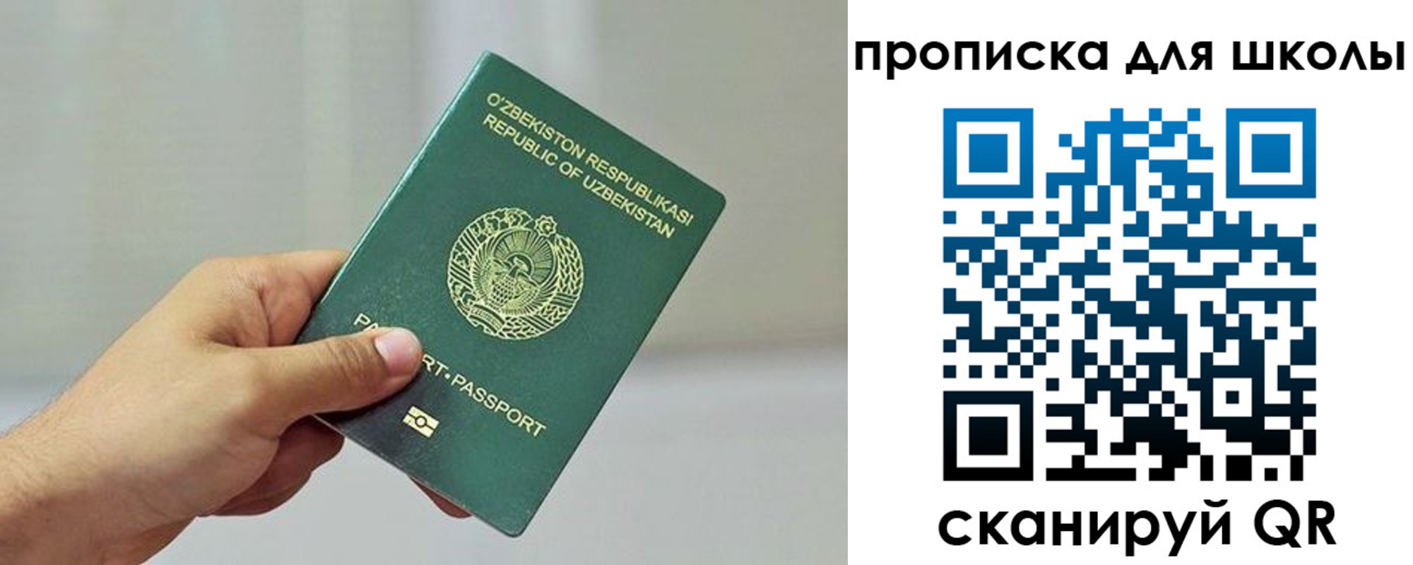 временная регистрация гарантия в Апатитах